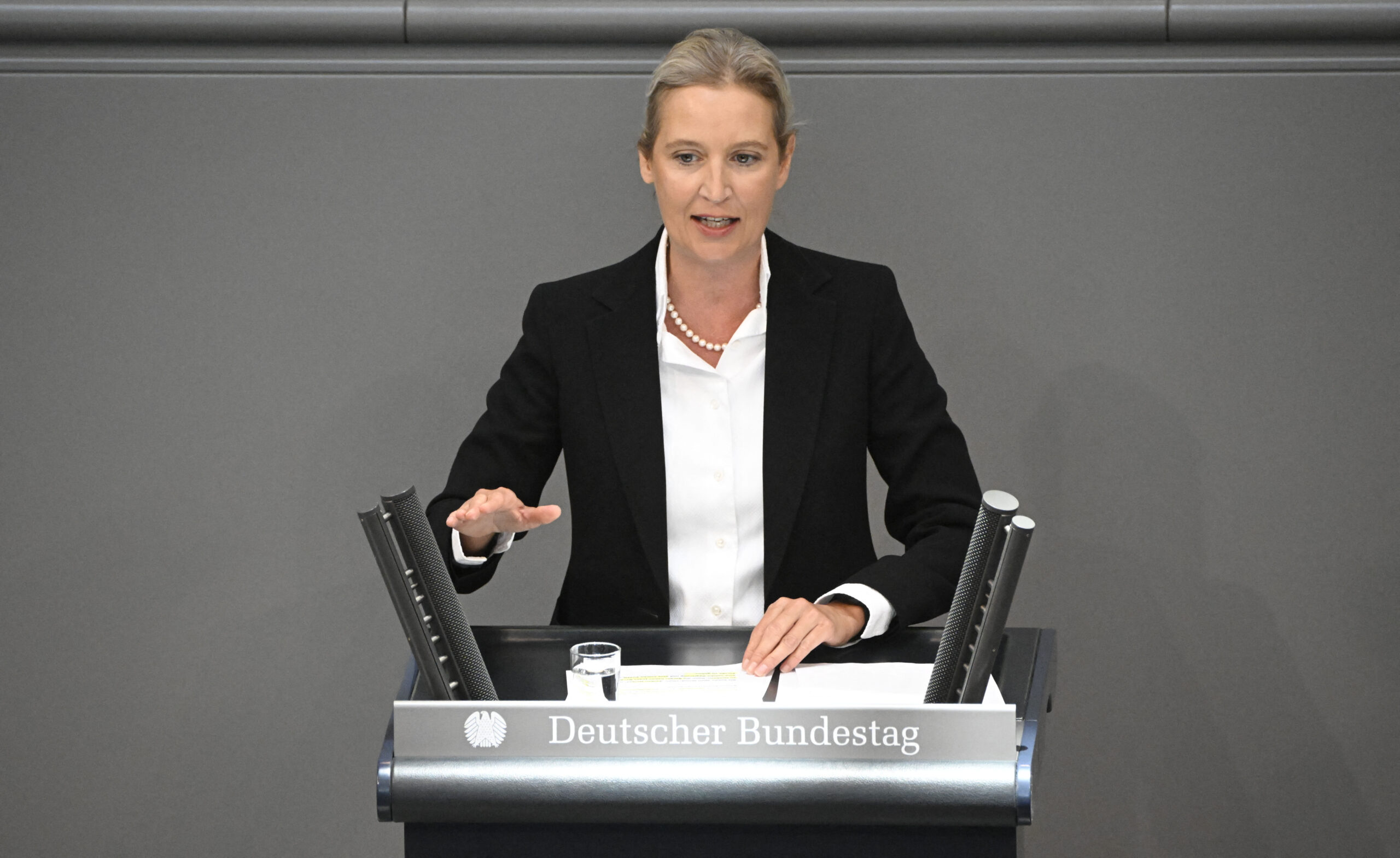 Weidel strebt Regierungsbeteiligungen an Buzzard